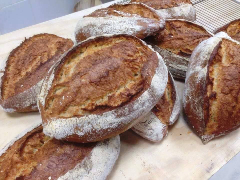 Masa Madre