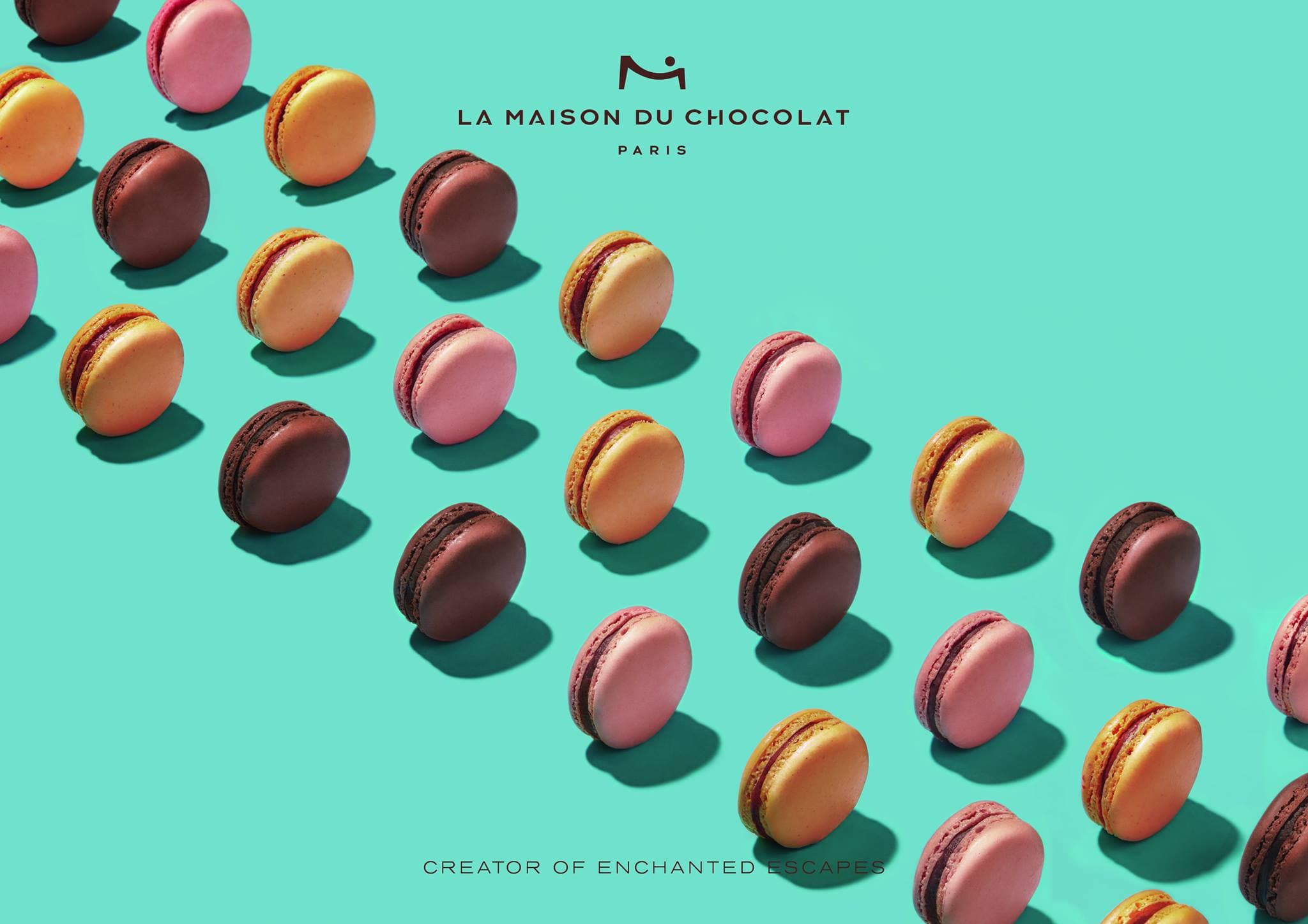 La Maison du Chocolat
