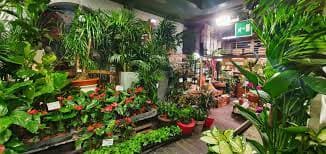 Artefiori