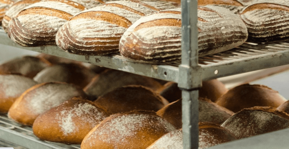 Our Daily Bread