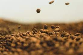 Montevideo Bakery & Cafe