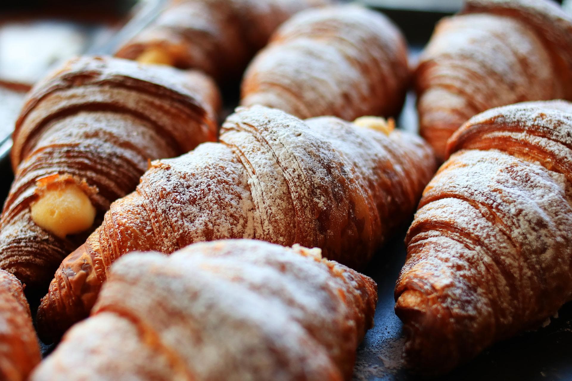 Forno Brisa | Via Laura Bassi